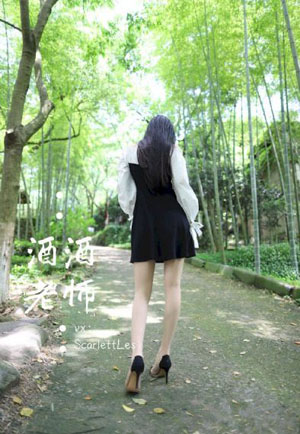 珠帘玉幕电视剧在线观看